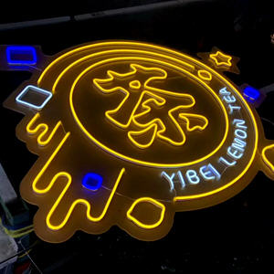 neon led 6x12